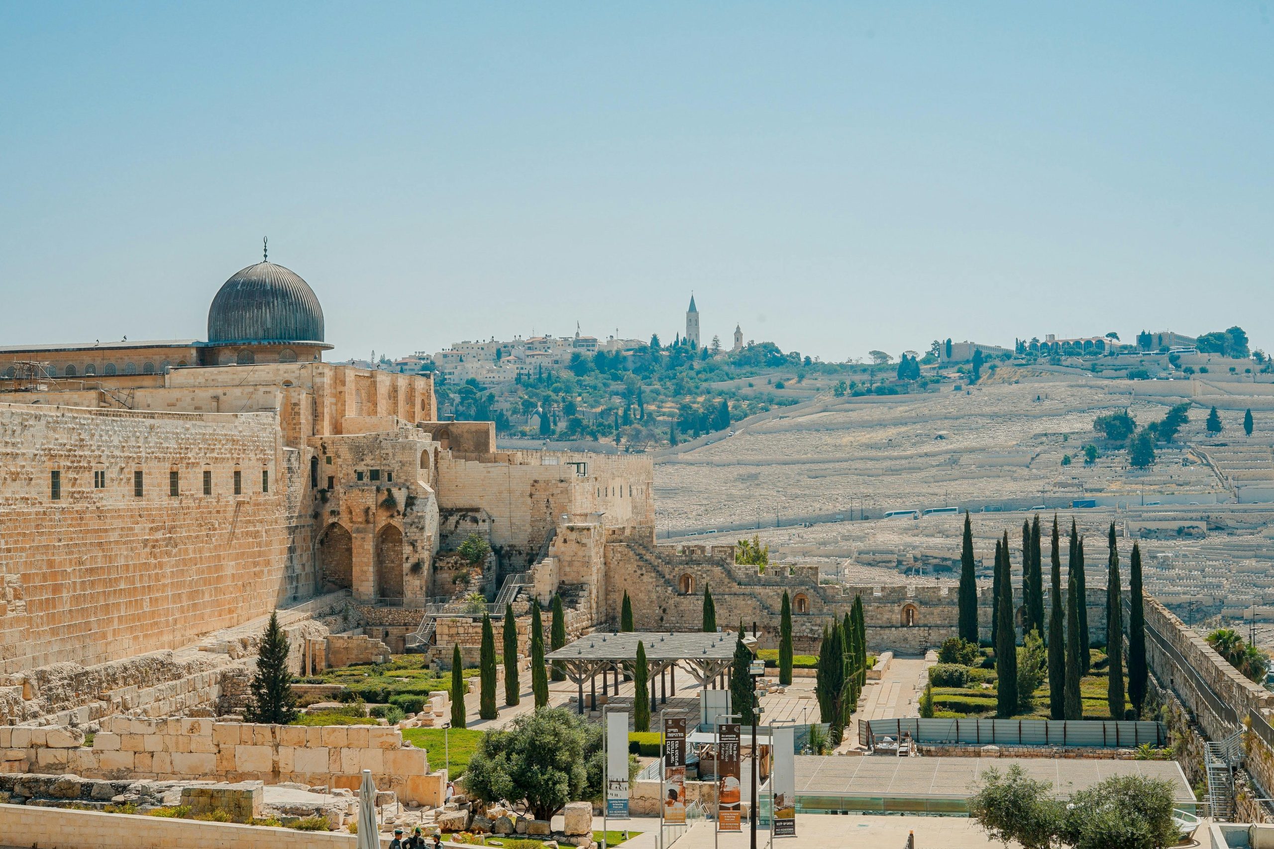 pexels-gaza-8660631