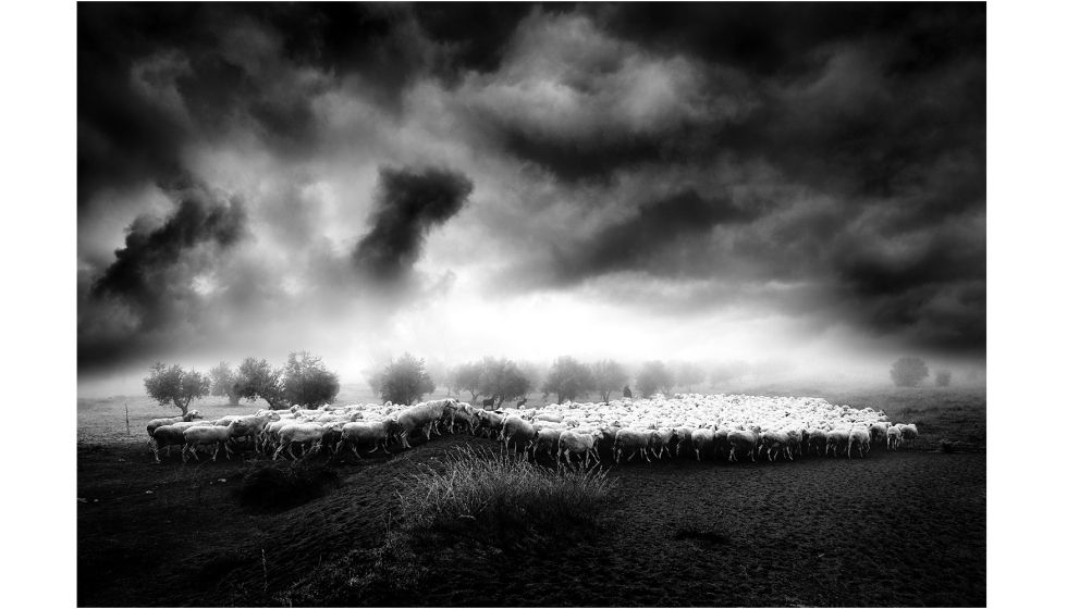 Tercer premio. ‘Mundo Rural I’, de Antonio Atanasio Rincon (Villarrubia de los Ojos, Ciudad Real)