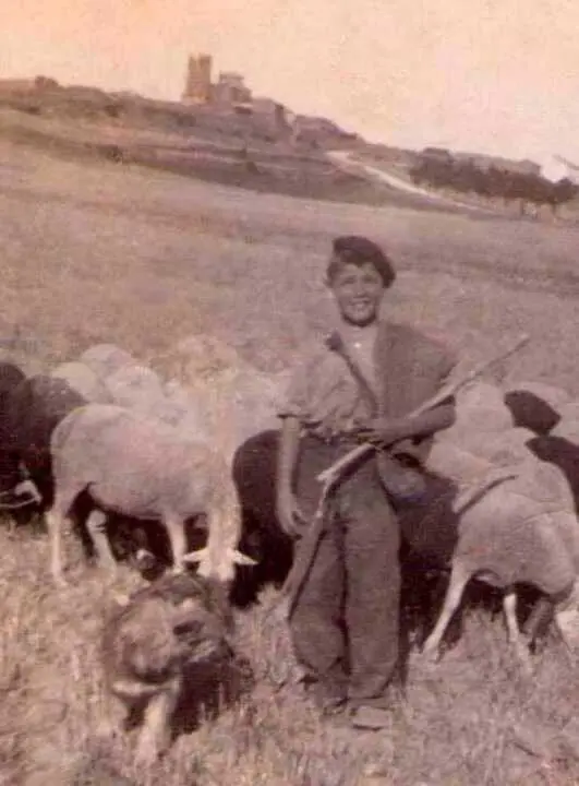 Memorias de un pastor de Alpanseque