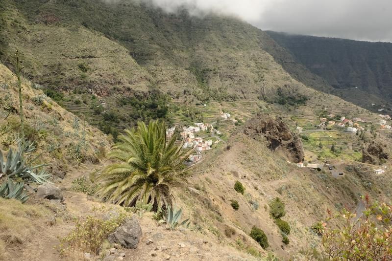 Camino de Guajilapa, que discurre desde&nbsp;la periferia de Garajonay hacia los caseríos del municipio de Hermigua, en el norte de La Gomera.