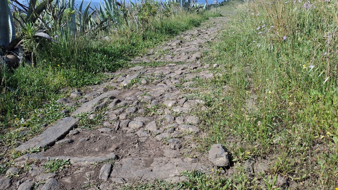 Tramo empedrado del Camino de Teror (siglo XVII), ejemplo de camino de herradura para facilitar la estabilidad de las mulas en pendientes; la maleza cubre los muros de piedra que lo delimitaban.