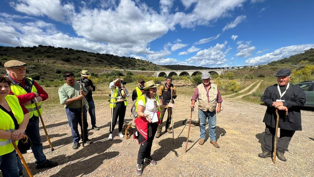 Galería | Ruta de la Trashumancia en Monfragüe
