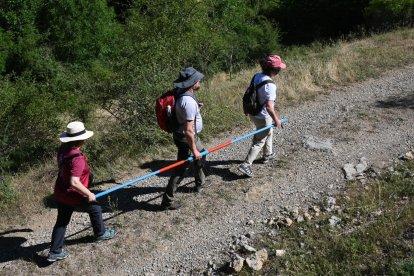 Trashumancia inclusiva en Salamón.