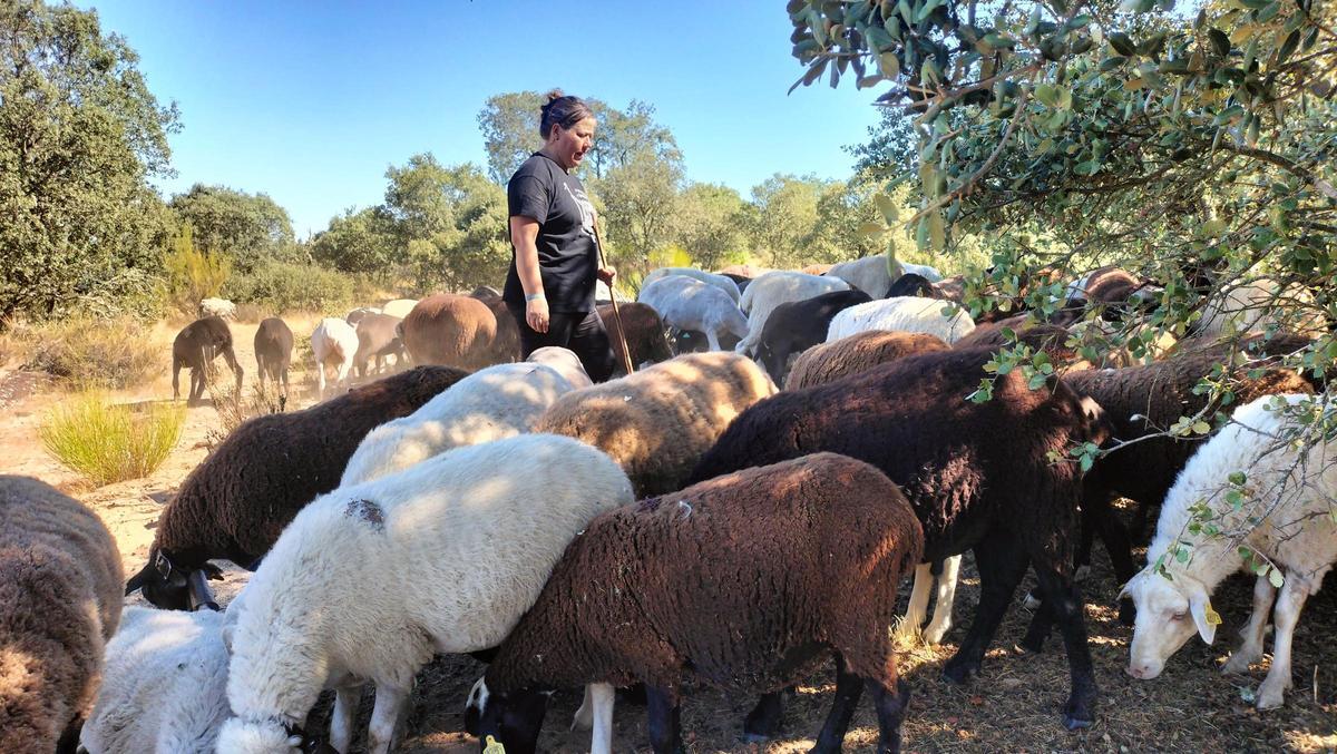 Almudena, ganadera de Argañín, entre las ovejas