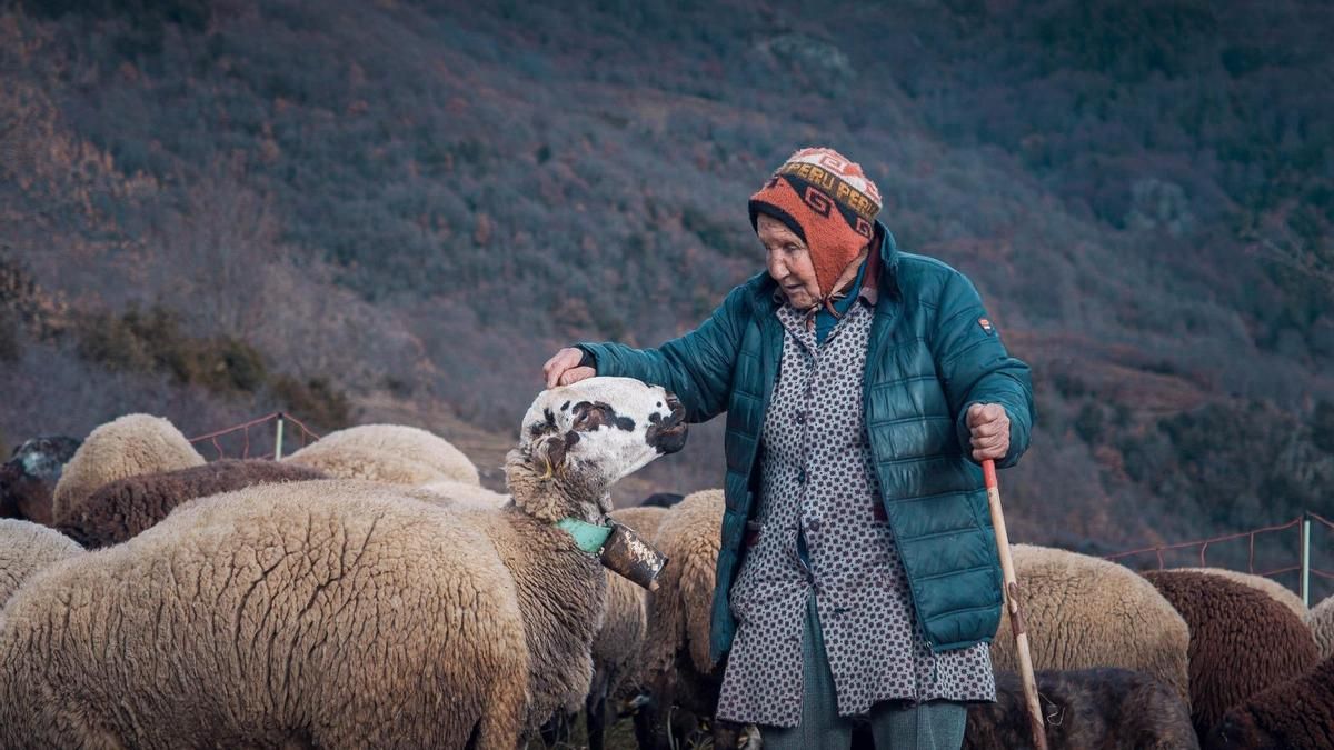 Marina Vilalta, pastora de 96 años, con sus ovejas entre las montañas del Valle de Ribes